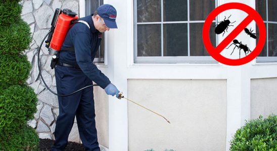 Sarıveliler Kemirgen İlaçlama böcek ilaçlama ve haşere kontrolü — ilaclama-tr.com